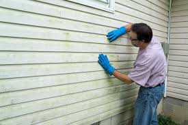 Reliable San Leon, TX Siding Services Solutions